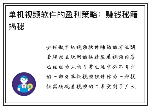 单机视频软件的盈利策略：赚钱秘籍揭秘