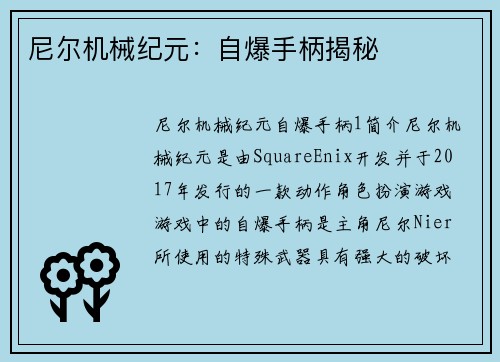尼尔机械纪元：自爆手柄揭秘